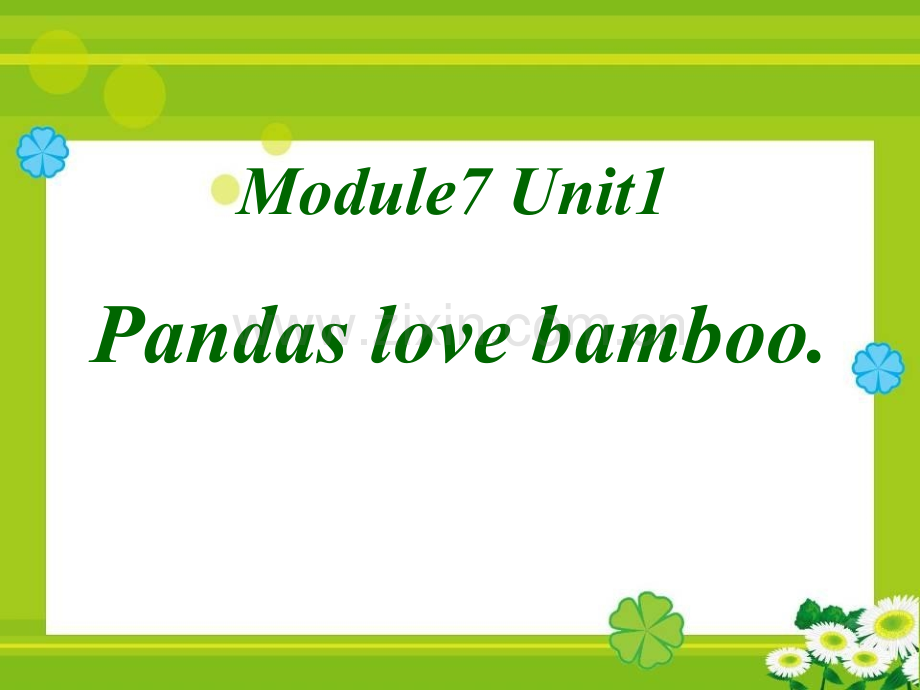 Pandaslovebamboo4.pptx_第1页