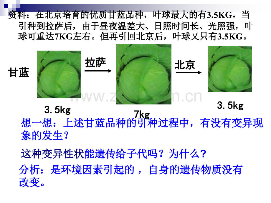 人教版人教版必修二基因突变和基因重组新课.pptx_第2页