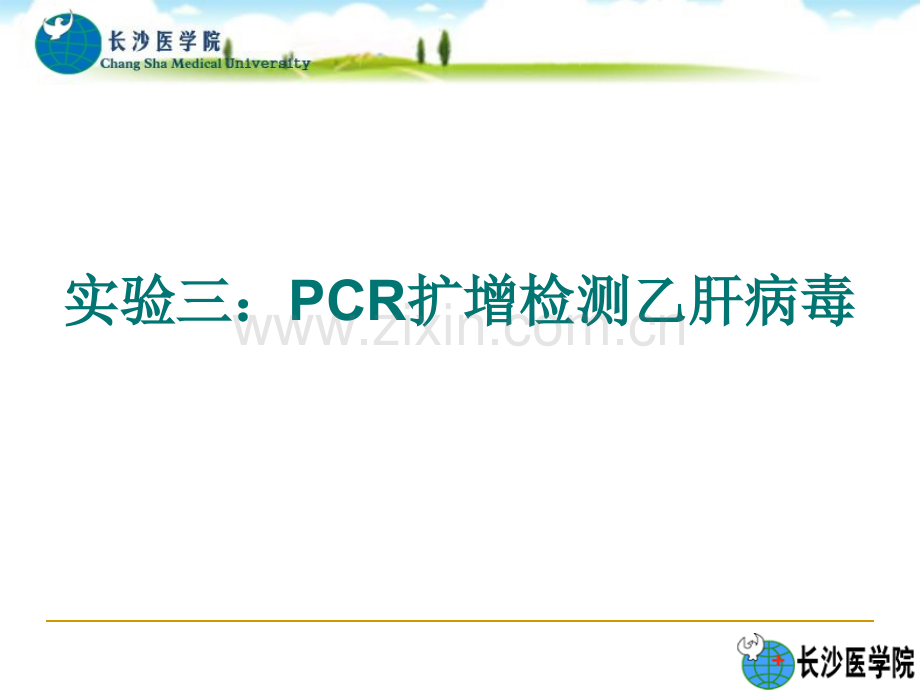 PCR扩增检测乙肝病毒.pptx_第1页