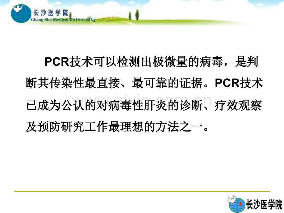 PCR扩增检测乙肝病毒.pptx_第3页