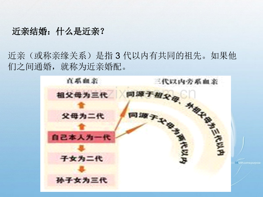 为什么近亲不能结婚的原因.pptx_第3页