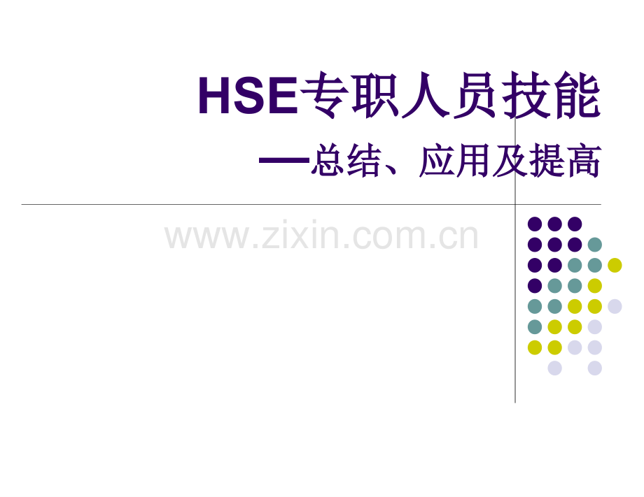 HSE专职人员技能.pptx_第1页