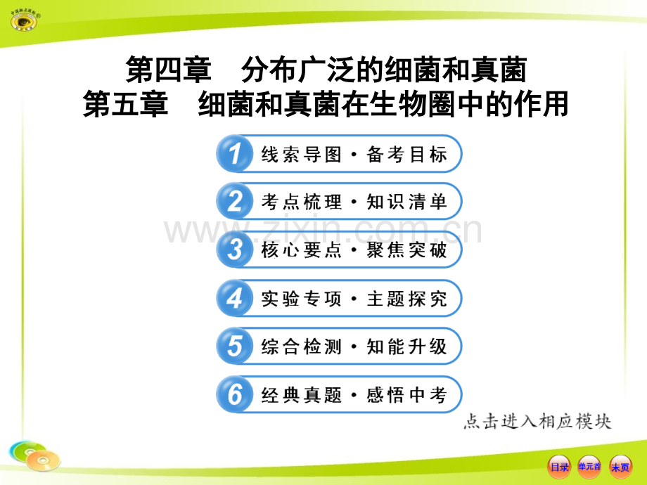 人教版初中生物中考复习八上分布广泛细菌和真菌细菌和真菌在生物圈中作用.pptx_第1页