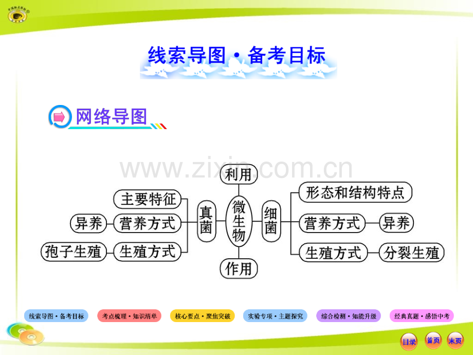 人教版初中生物中考复习八上分布广泛细菌和真菌细菌和真菌在生物圈中作用.pptx_第2页