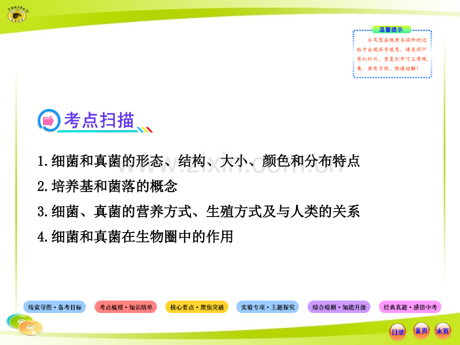 人教版初中生物中考复习八上分布广泛细菌和真菌细菌和真菌在生物圈中作用.pptx_第3页