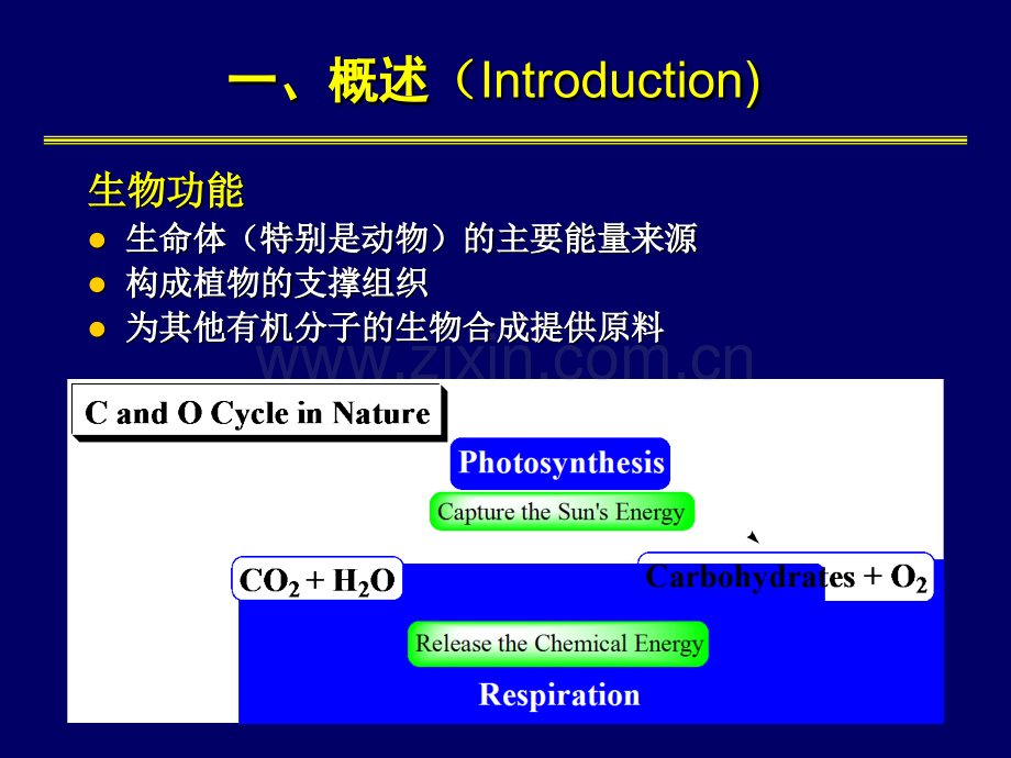 中山大学有机化学第18章12-03-01.pptx_第3页