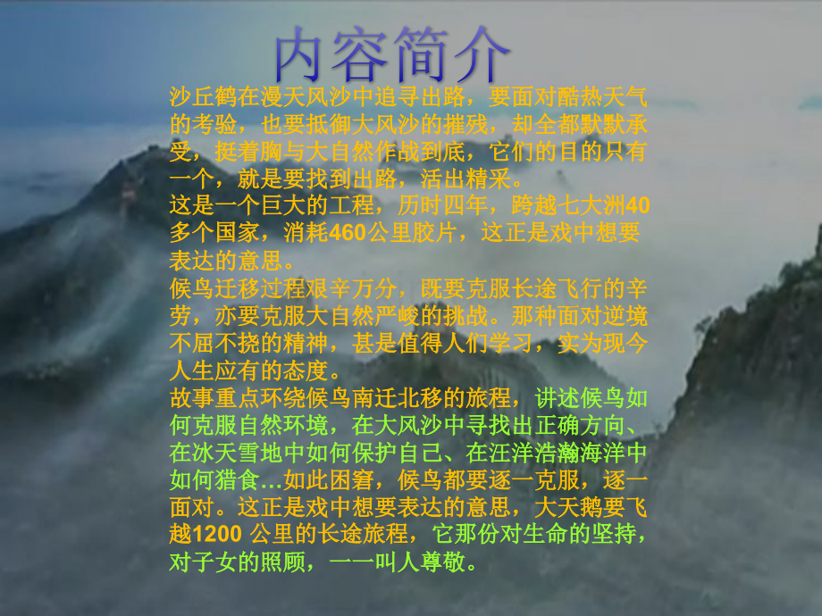 候鸟是个允诺我们常常羡慕鸟儿那柔顺的羽毛.pptx_第2页