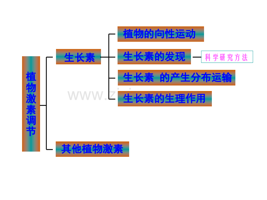 人教版教学浙江省建德市新安江高级中学生物必修三植物生命活动调节.pptx_第1页