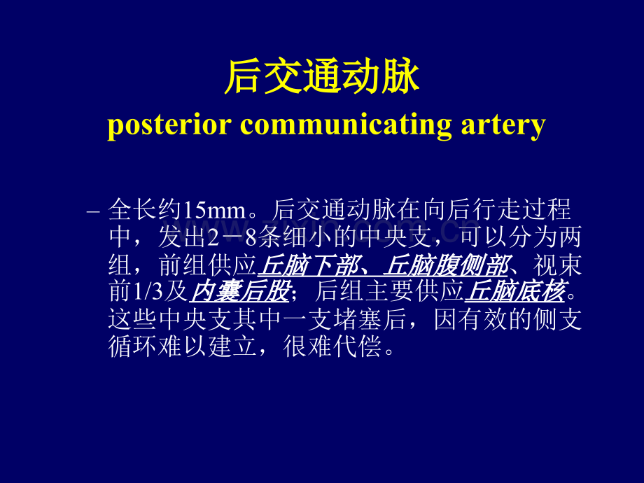 丘脑底节区脑血管解剖.pptx_第2页