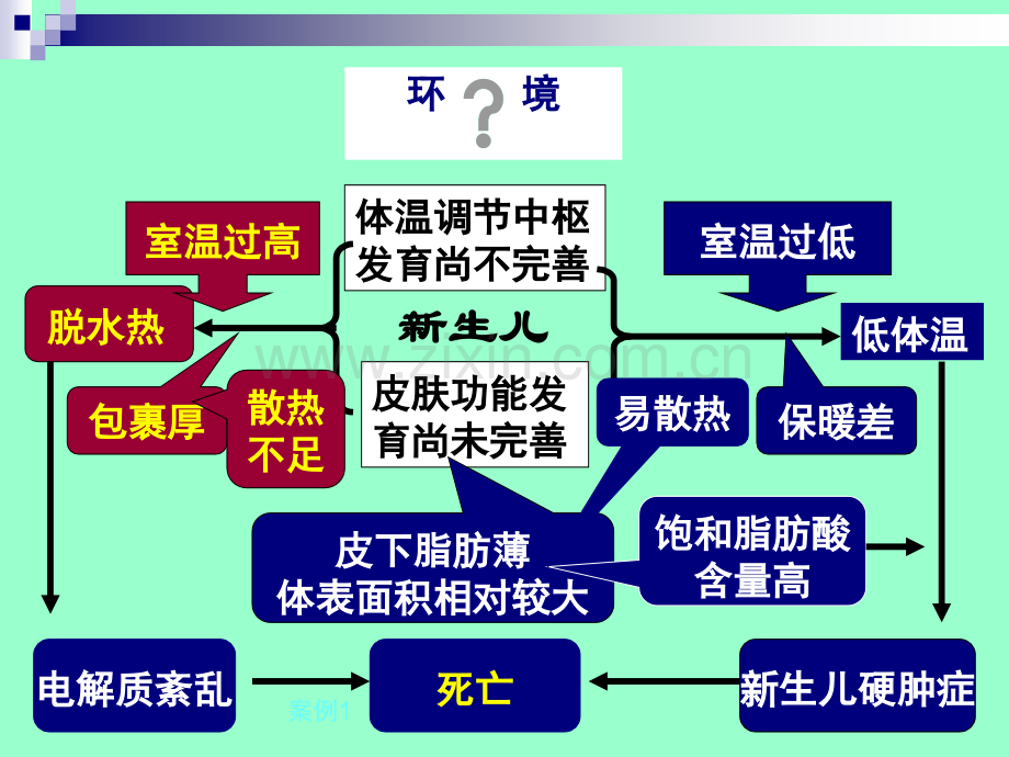 儿童青少年保健与护理.pptx_第2页