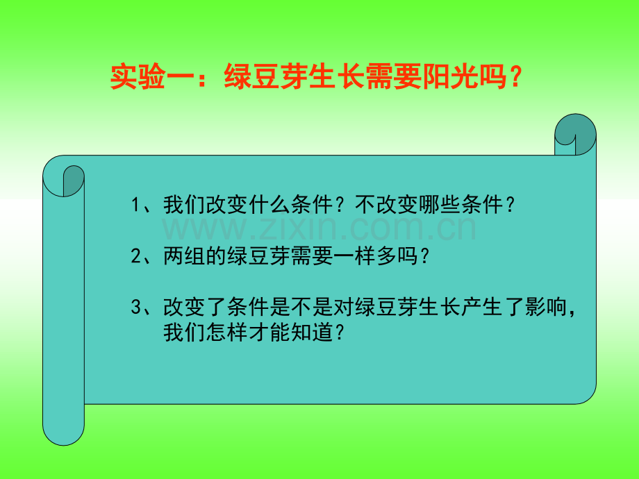 五年级科学上册观察绿豆芽的生长.pptx_第3页