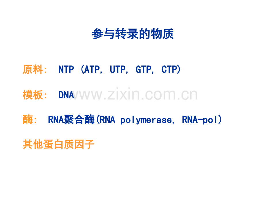 RNA的生物合成七版10.pptx_第3页