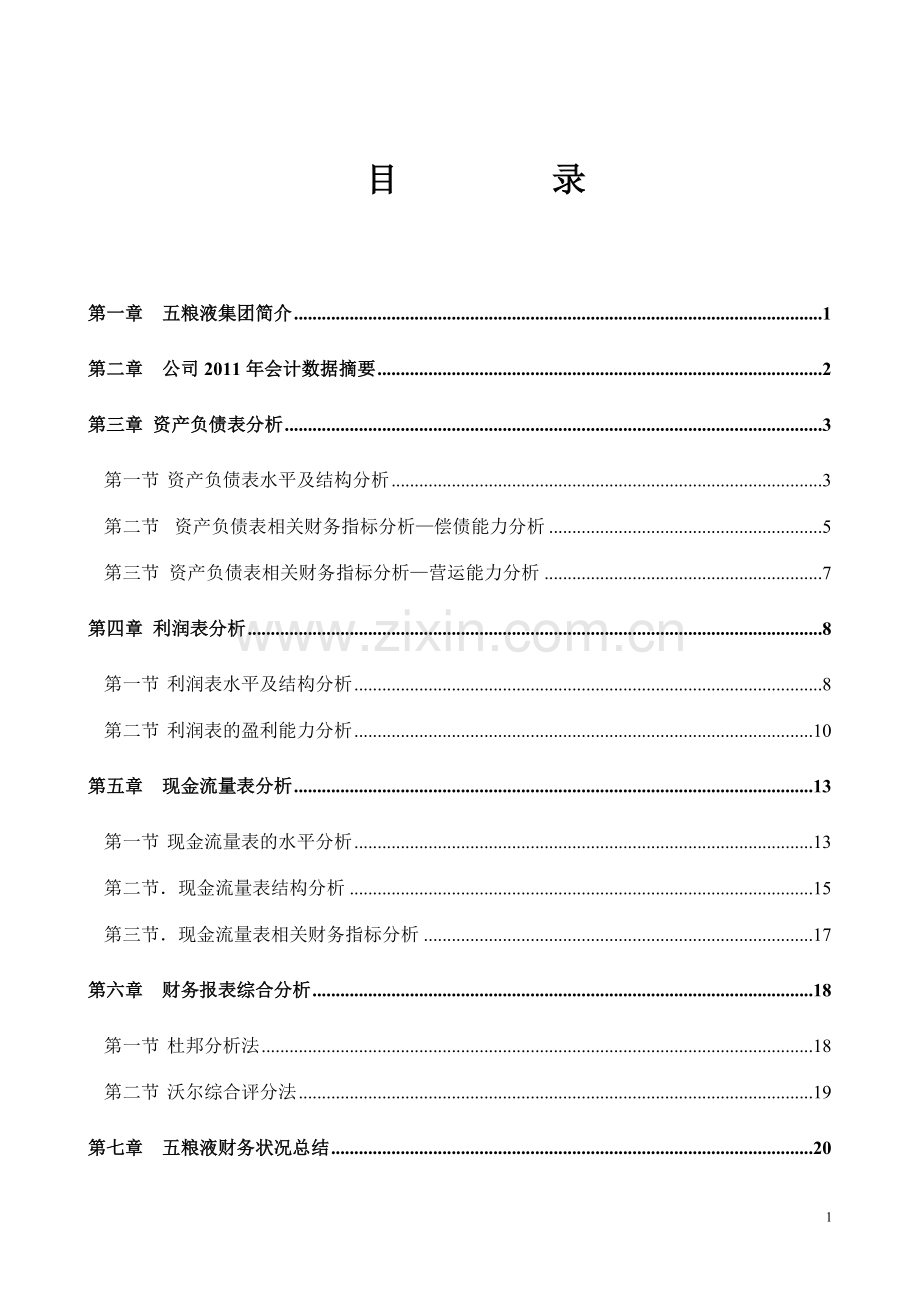 五粮液集团财务报告分析.doc_第1页