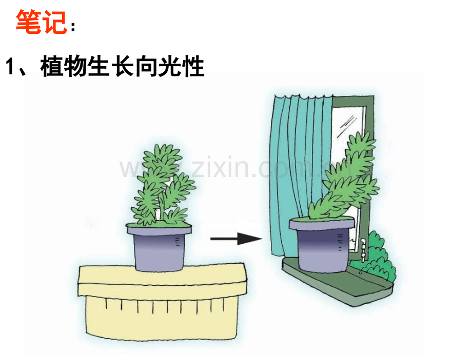 七年级科学生物适应性和多样性3.pptx_第3页