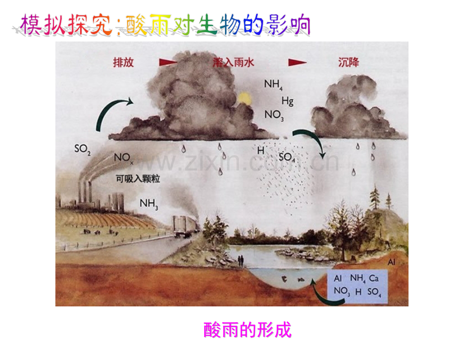 七年级生物-探究环境污染对生物的影响人教.pptx_第3页