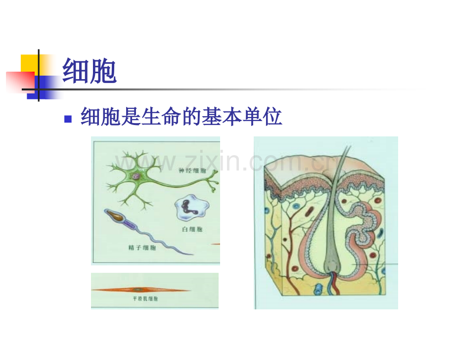 A3健康知识培训.pptx_第3页