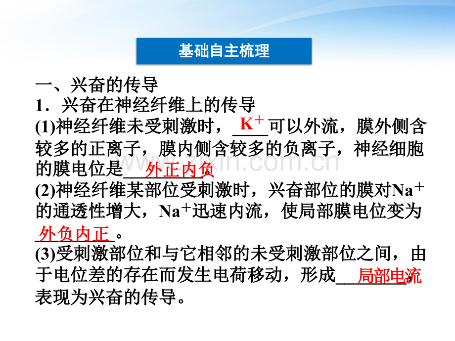 优化方案江苏专用2012高考生物总复习-人体生命活动的调节一-苏教必修.pptx_第2页