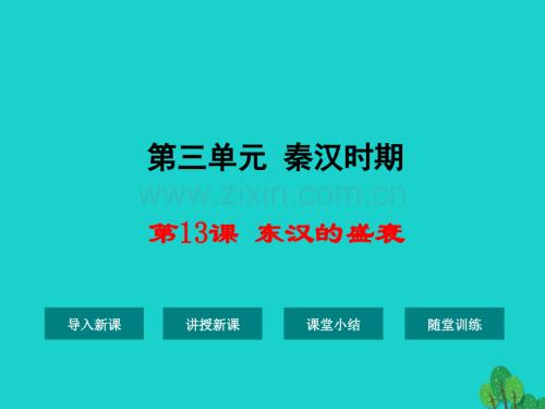 七年级历史上册东汉盛衰华东师大版.pptx