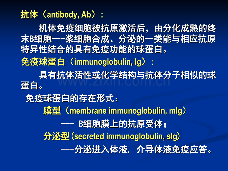 免疫学03--抗体.pptx_第3页