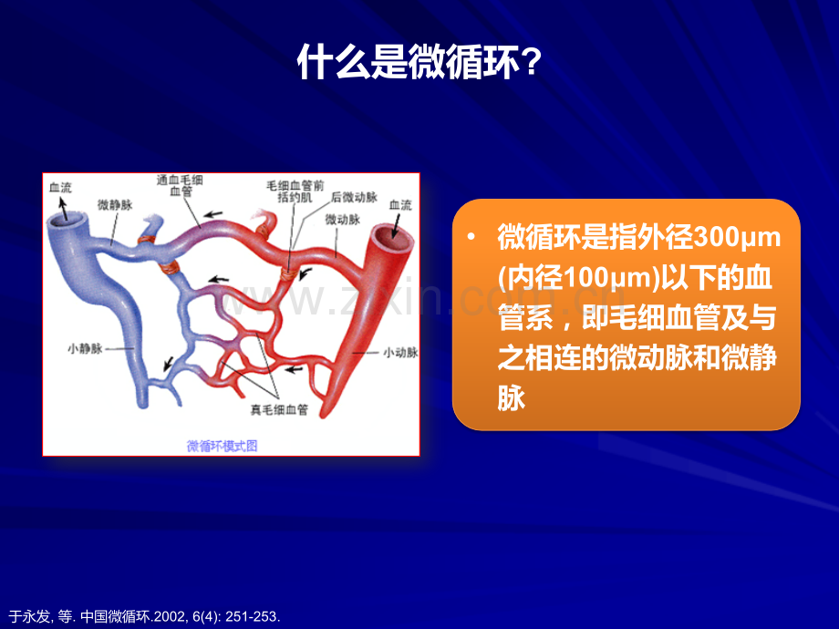 侧支循环不同于微循环.pptx_第1页