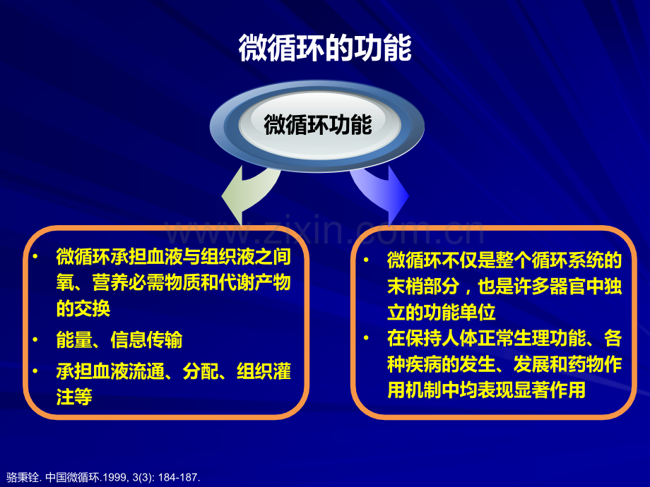 侧支循环不同于微循环.pptx_第3页