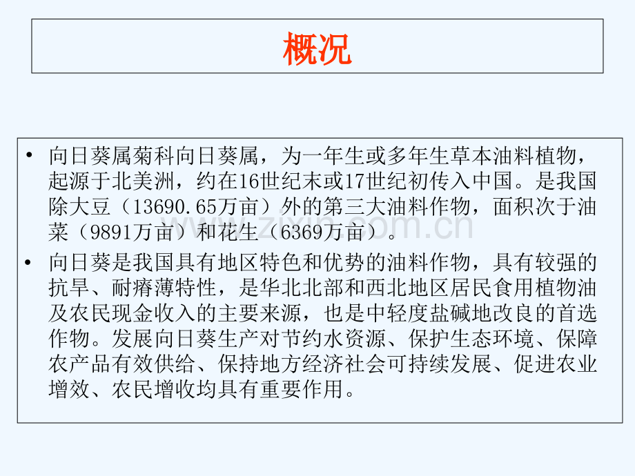 向日葵高产栽培技术.pptx_第2页