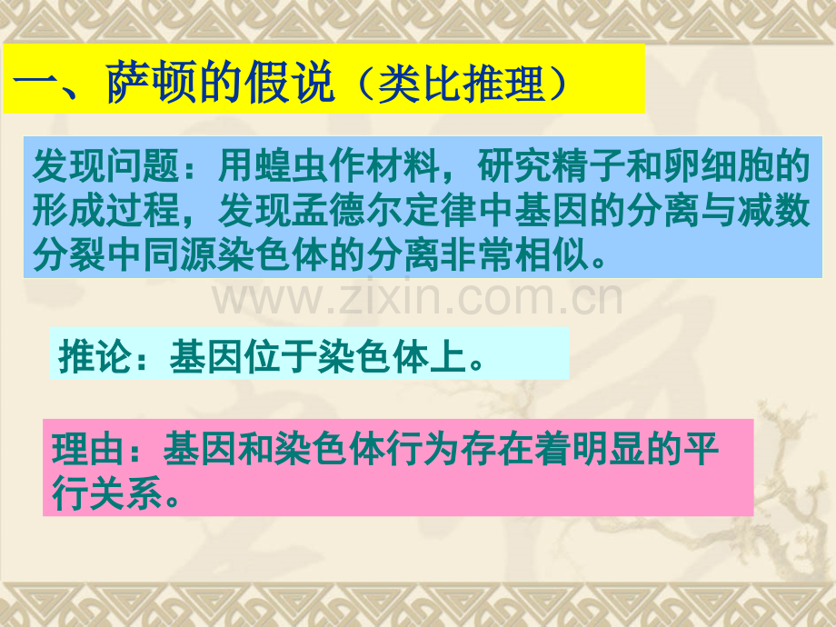 4470kj新人教生物必修222基因在染色体上.pptx_第2页