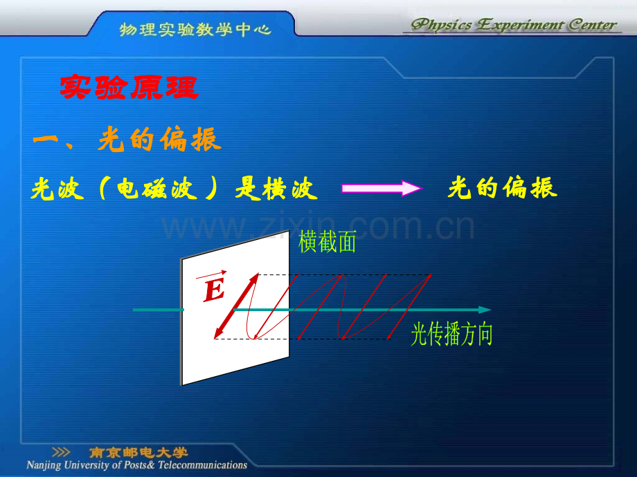 光的偏振的研究王.pptx_第2页