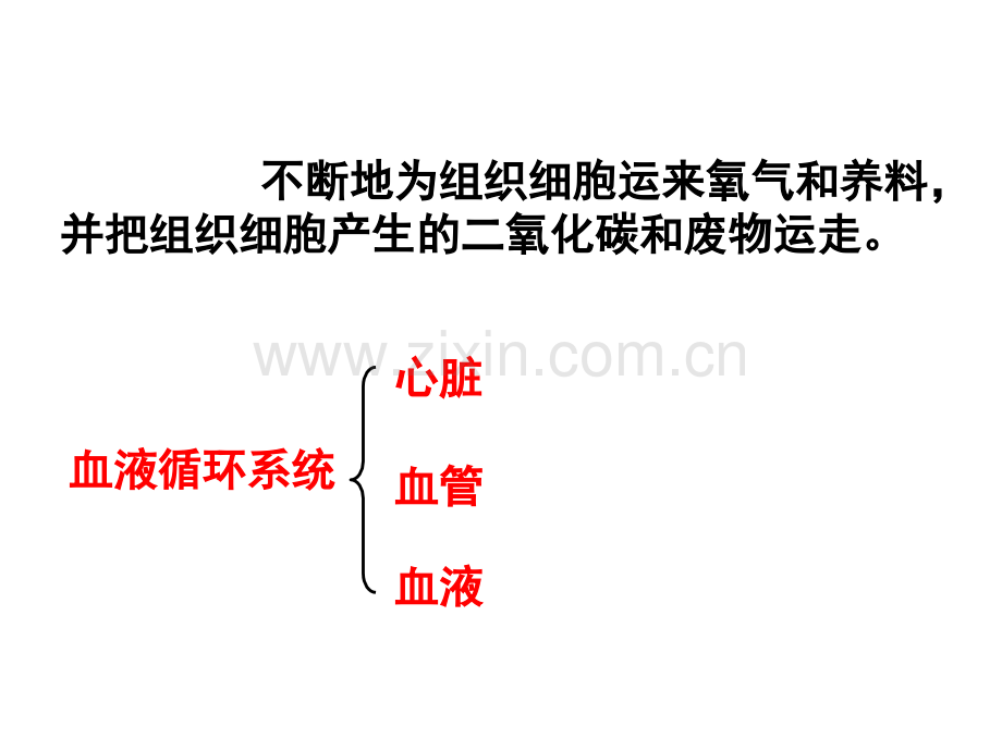 七年级生物下册-人体内物质的运输复习-新.pptx_第2页