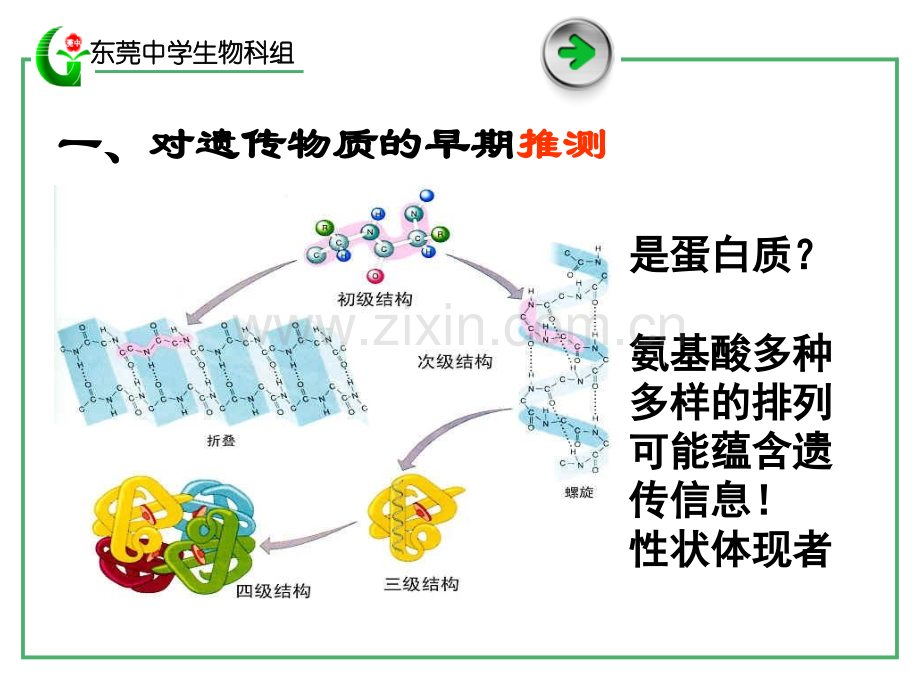 B231-DNA是主要的遗传物质.pptx_第3页