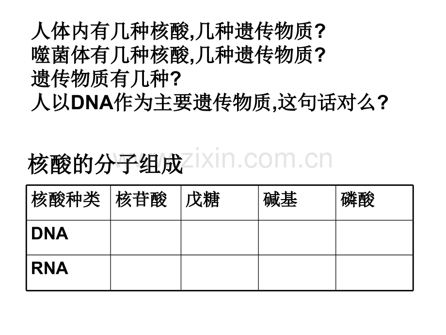 DNA的分子结构和特点复习及运用正式.pptx_第2页