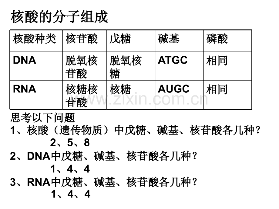 DNA的分子结构和特点复习及运用正式.pptx_第3页