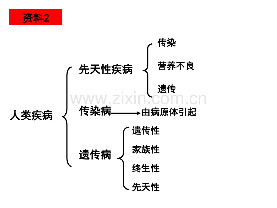 人教版教学人教必修2人类遗传病.pptx_第3页