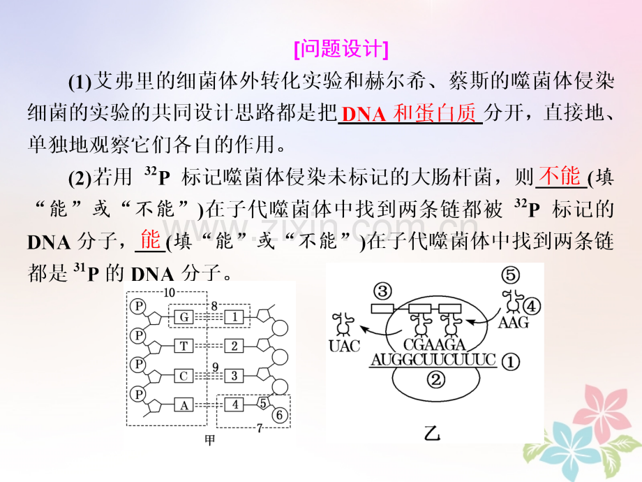 全国通用高考生物二轮复习专题三遗传串讲一遗传的分子基础时高考研究课件.pptx_第3页