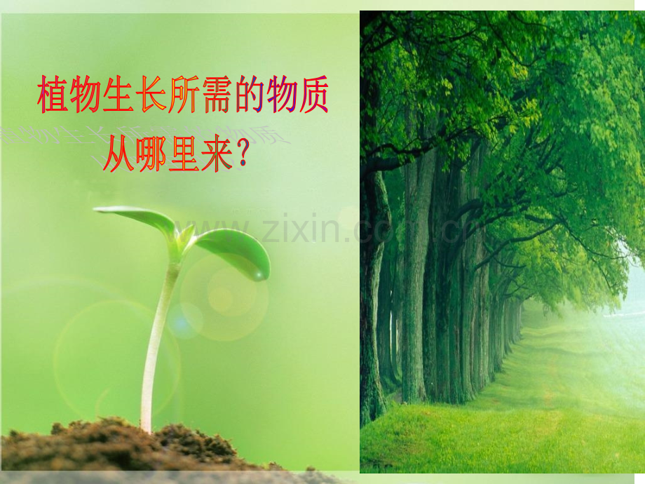 光合作用的探究历程省优质课宜昌市一中曾芳.pptx_第2页