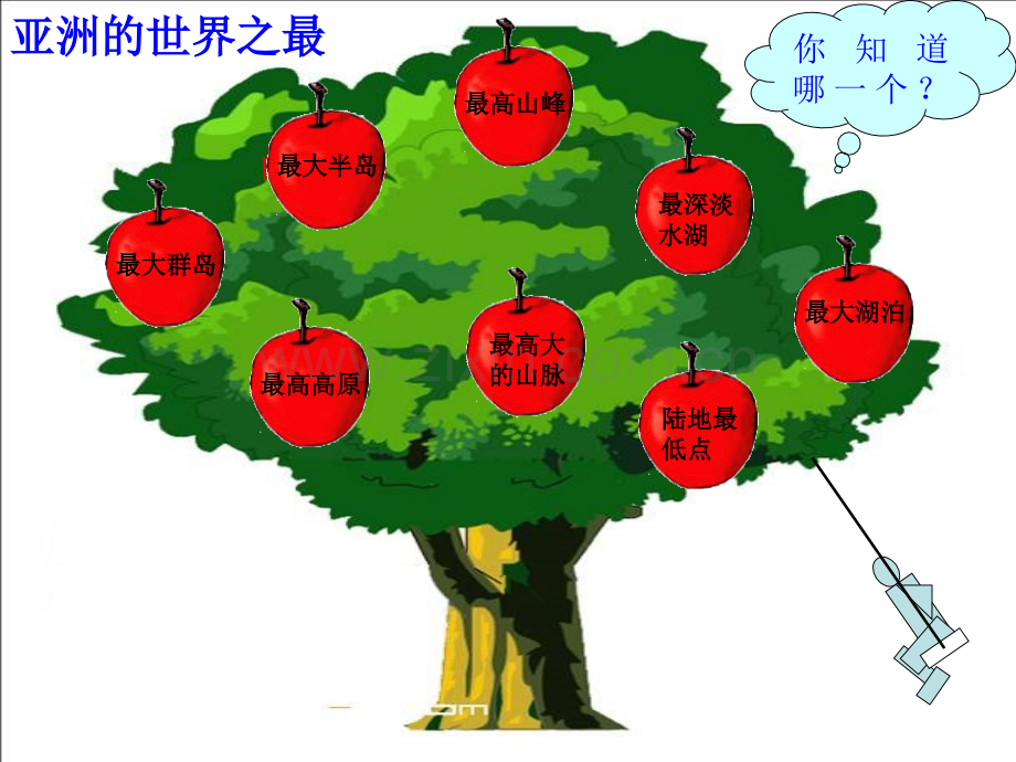 七年级地理下册复习课件.pptx_第3页