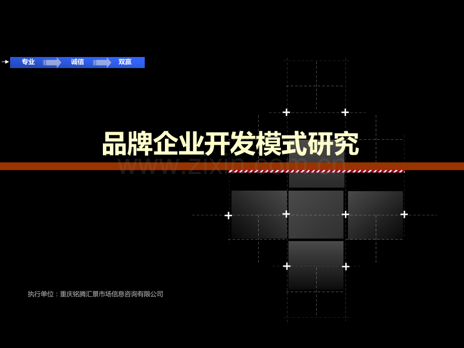 品牌企业开发模式研究.pptx_第1页