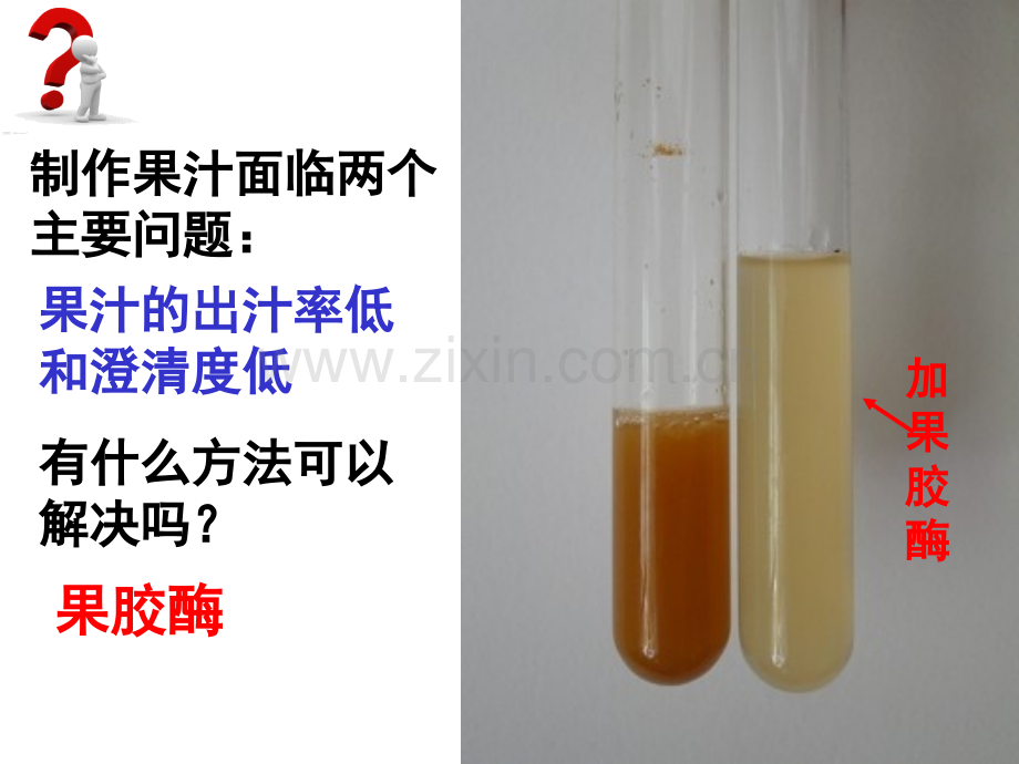 41果胶酶在果汁生产中的应用公开课.pptx_第2页