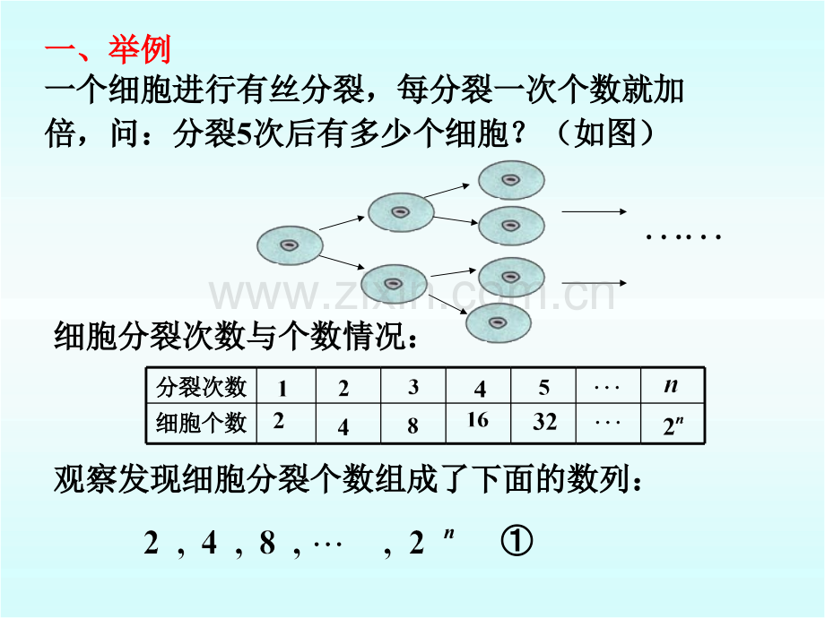 24等比数列课件共17张.pptx_第2页