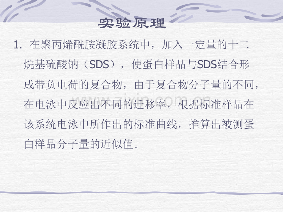 sds聚丙烯酰胺凝胶电泳法测定蛋白质分子量实验目的和要求.pptx_第1页