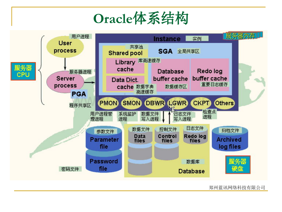 Oracle数据库培训.pptx_第2页