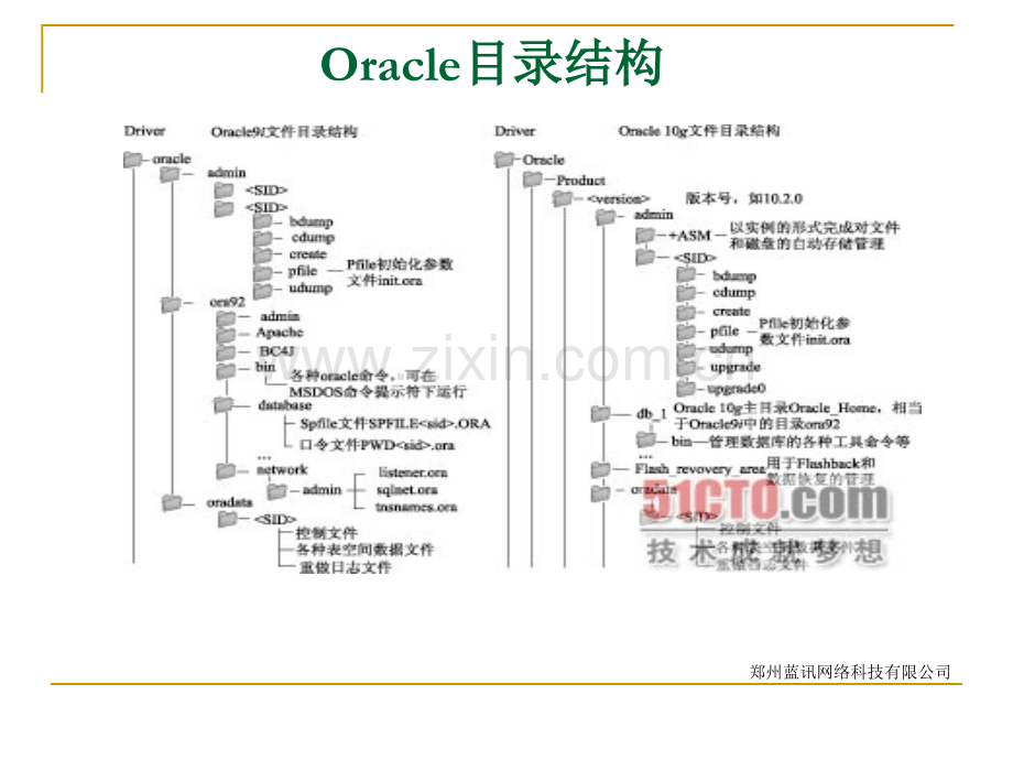 Oracle数据库培训.pptx_第3页