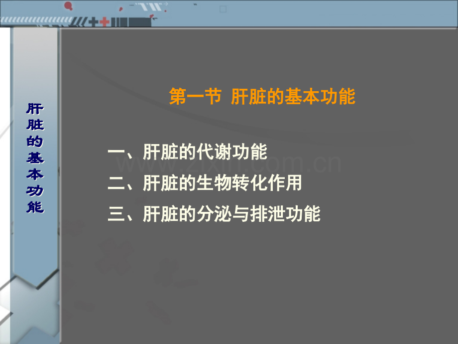 6肝脏功能检测常用的实验室汇总.pptx_第2页