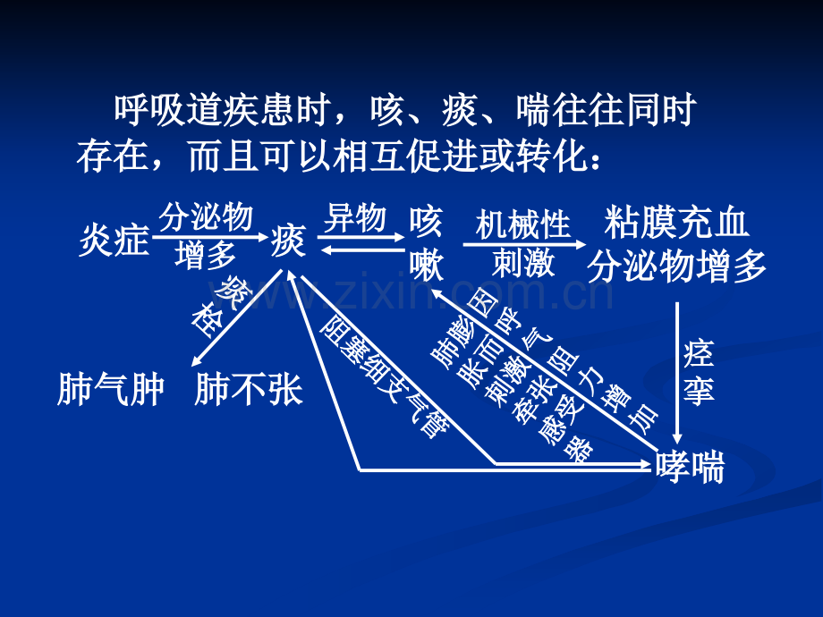 作用于呼吸系统的药.pptx_第2页