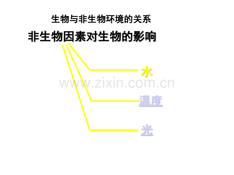 主题四生态系统.pptx_第1页