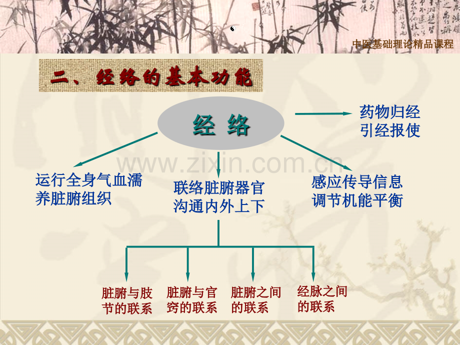 中医基础经络学.pptx_第3页