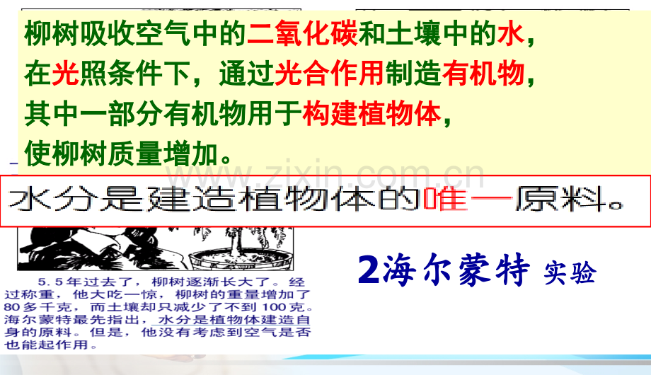 人教版初中初一七年级生物上册植物光合作用吸收二氧化碳释放氧气.pptx_第3页