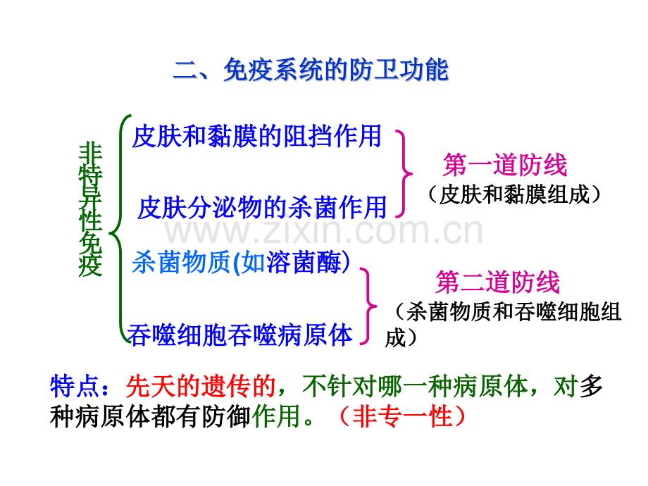 免疫调节公开课一等奖.pptx_第3页