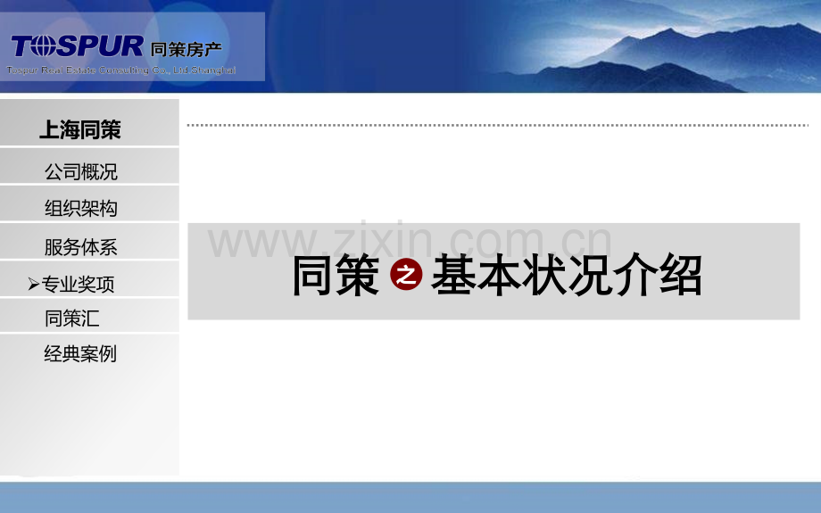 上海同策公司简介.pptx_第2页