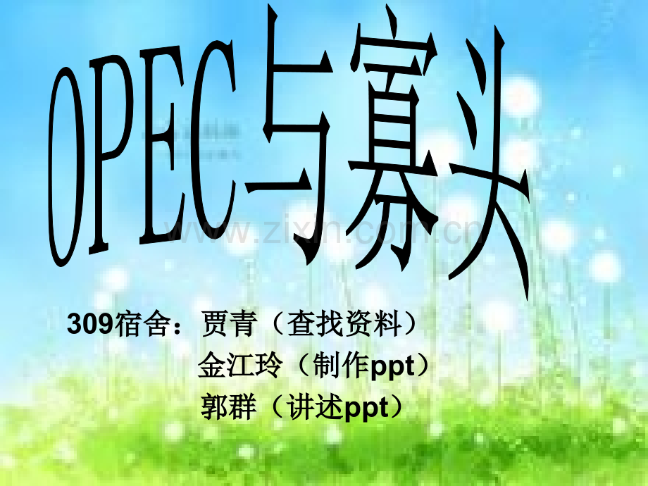 OPEC与寡头.pptx_第1页